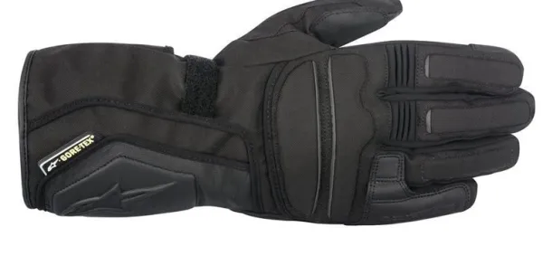 Alpinestars Motorhandschoenen-WR-V Gore-Tex Gove Back 10