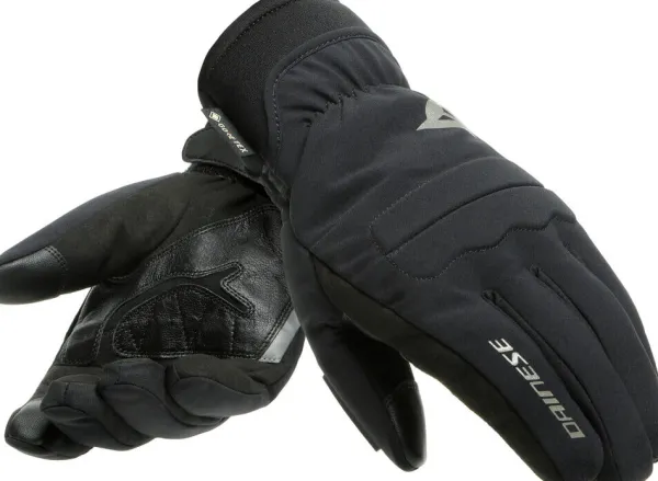 Dainese Motorhandschoenen-Coo Gore-Tex Gove Back 001
