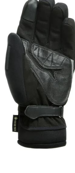 Dainese Motorhandschoenen-Coo Gore-Tex Gove Back 001