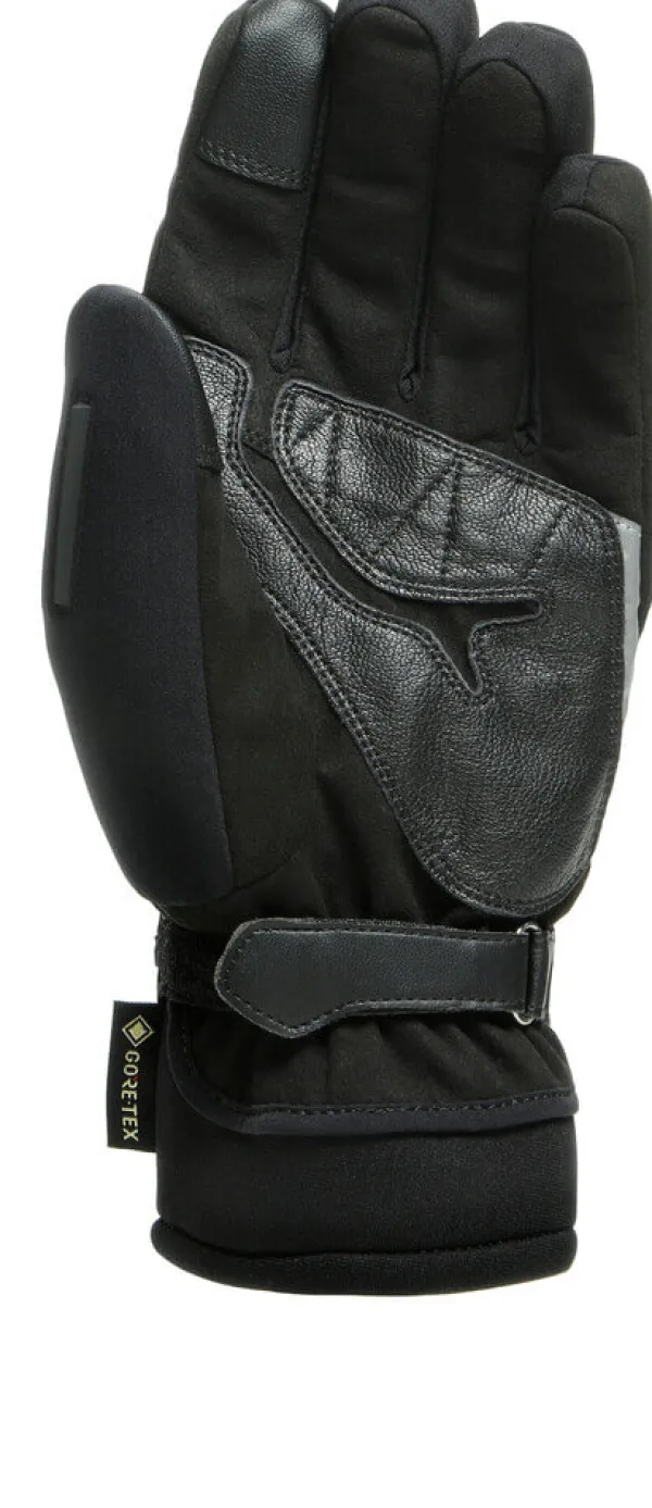 Dainese Motorhandschoenen-Coo Gore-Tex Gove Back 001