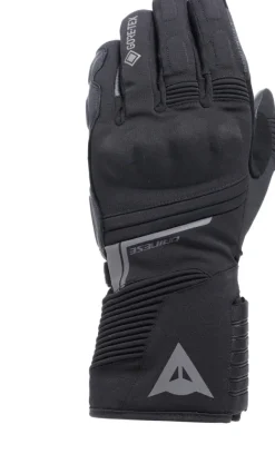 Dainese Motorhandschoenen-Fune Gore-Tex Thera Gove Back