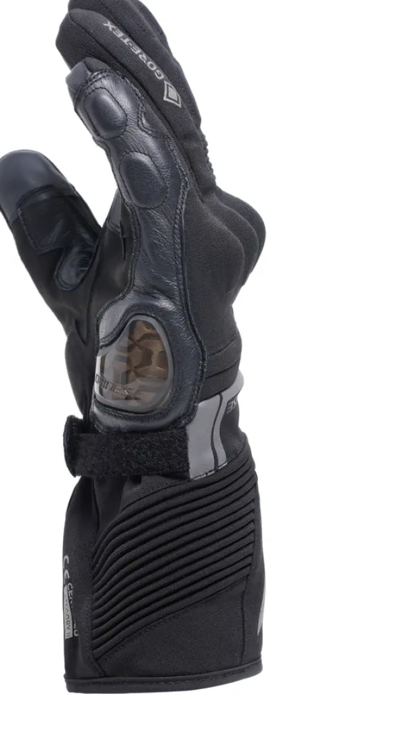 Dainese Motorhandschoenen-Fune Gore-Tex Thera Gove Back