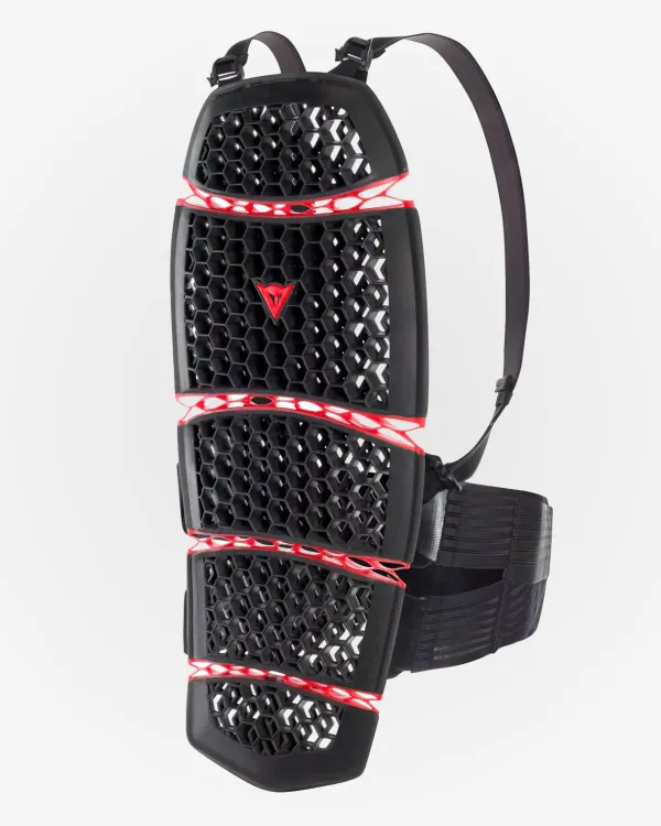 Dainese Rugprotectoren-Pro-Armor Back Long 2.0 Black 001