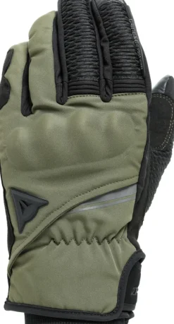 Dainese Motorhandschoenen-Trento D-Dry Gove Back/Grape-eaf