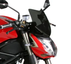 Barracuda Motor Onderdelen-Windshield Aerosport DS1300